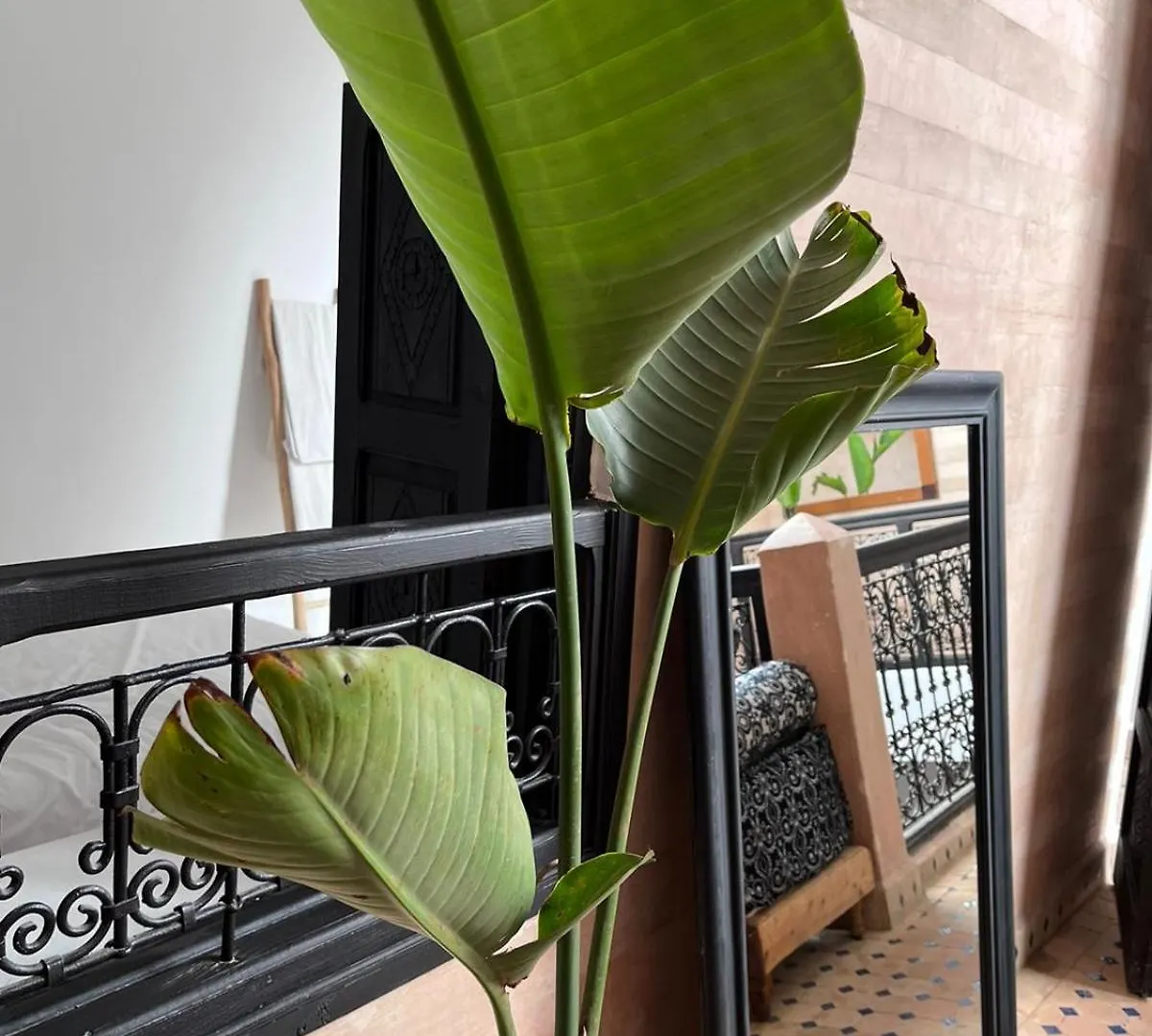 Riad Black Doors Marakeş Fas